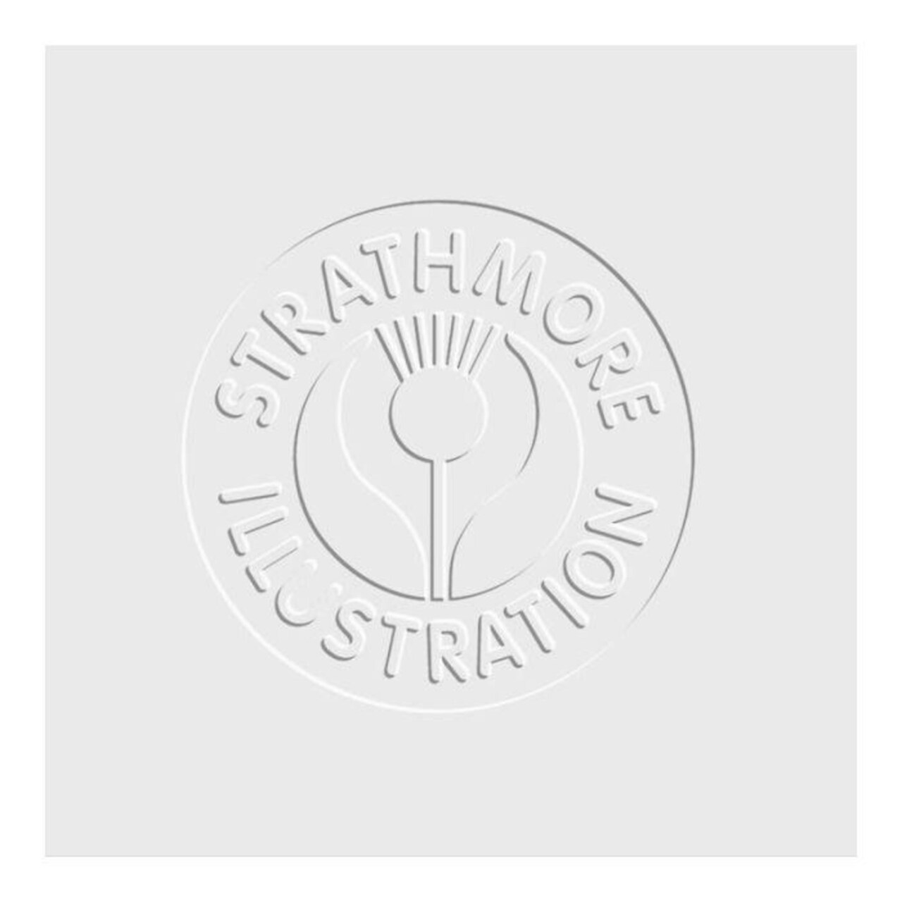 Strathmore 500 Series Heavyweight Vellum Illustration Board-20"X30"